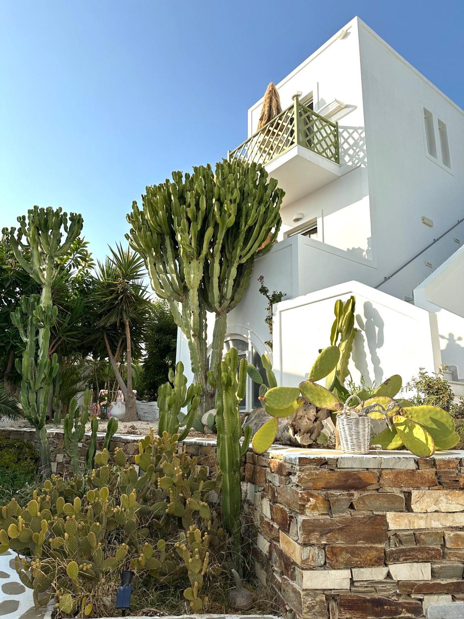Artemis Hotel Antiparos Town Extérieur photo