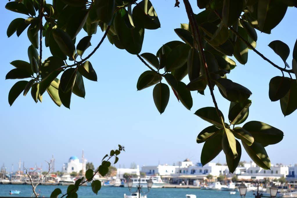Artemis Hotel Antiparos Town Extérieur photo
