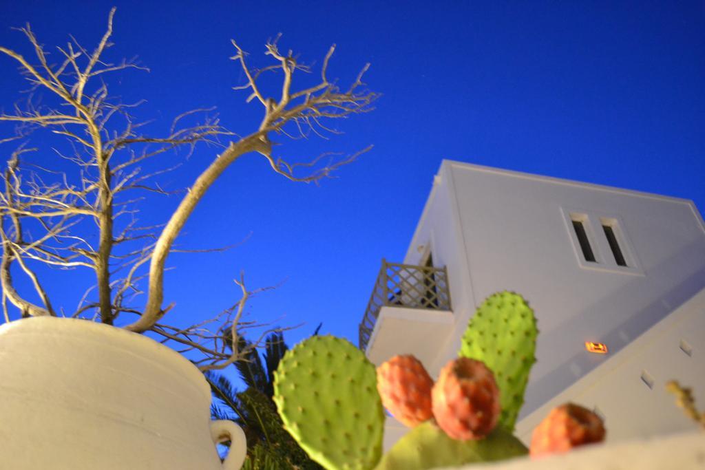 Artemis Hotel Antiparos Town Extérieur photo